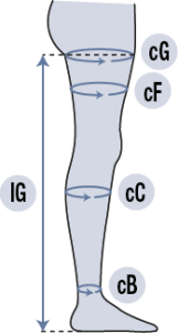 Immagine con leg, thigh, calf, sock, knee