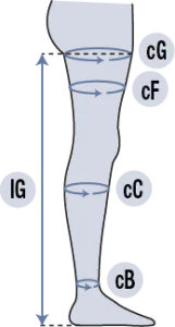 Immagine con leg, thigh, calf, sock, knee